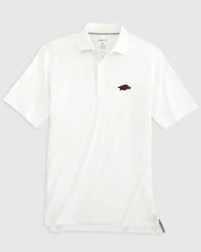 Arkansas Birdie Jersey Performance Polo