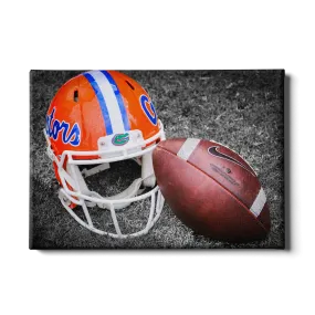 Florida Gators - Gator Ball Helmet