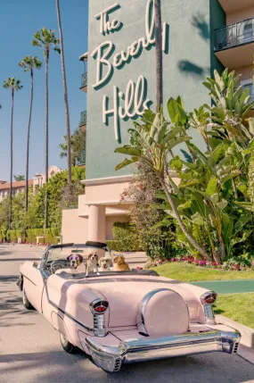 Joy Ride, The Beverly Hills Hotel