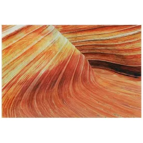 "Painted Rock" Frameless Free Floating Tempered Glass Panel Graphic Abstract Wall Art